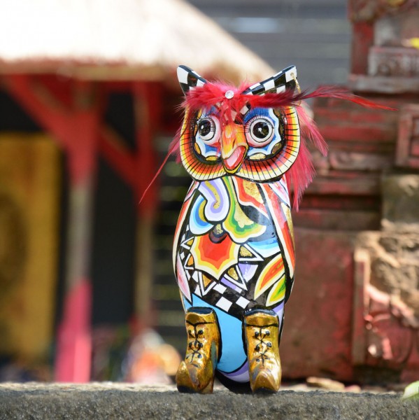 TOMS DRAG - Chouette Hugo