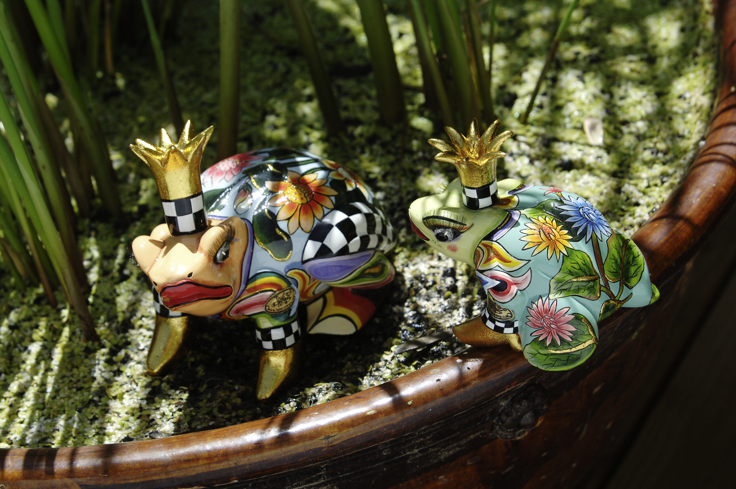 TOMS DRAG - Grenouille "William" M